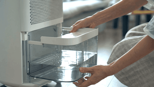 Person handling dehumidifier water tank