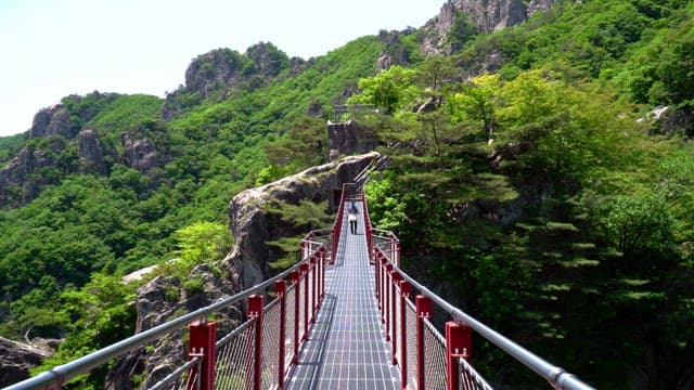 Hiker walking on a red suspension bridge in a mountain with lush green trees