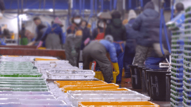 Workers sorting seafood in tanks in busy market