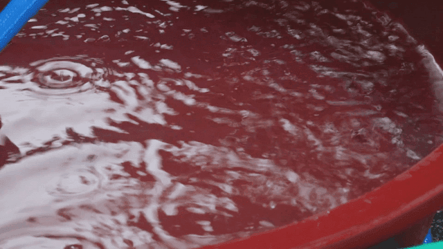 대야 위로 떨어지는 빗물