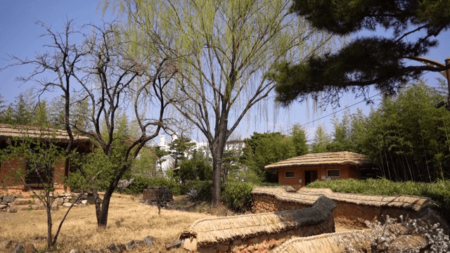 큰 버드나무가 있는 고요한 정원