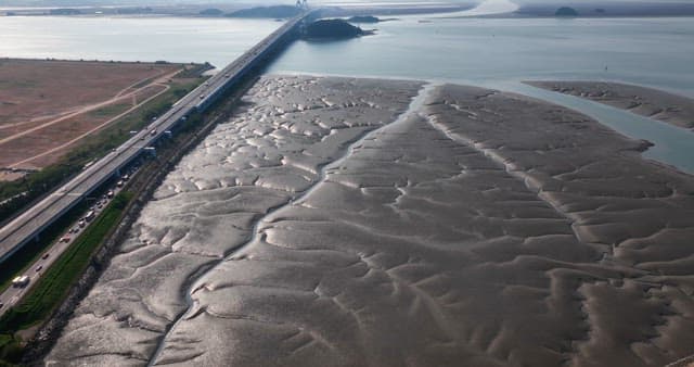 Bridge over a vast mudflat and sea