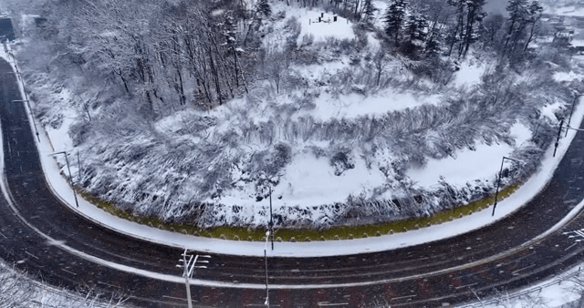 눈 덮인 숲과 구불구불한 도로