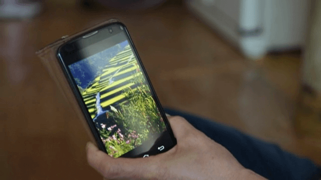 스마트폰으로 자연 장면을 보는 사람