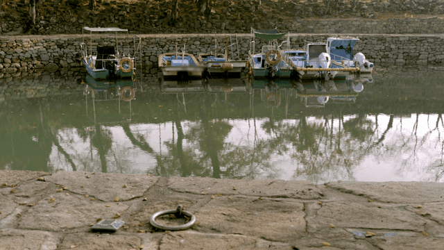 Boats docked by a calm lakeside
