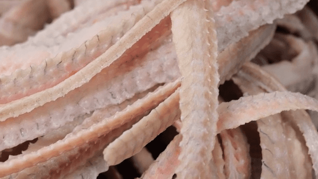 생선 뼈 조각의 근접 촬영