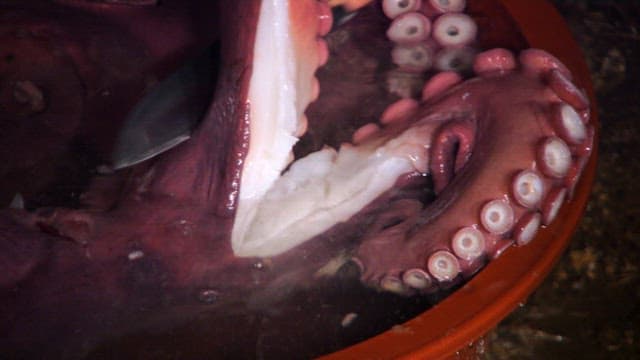 Cutting Octopus Soaked in a Rubber Basin