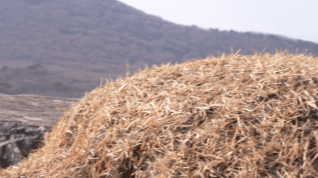 Dry grass on a mountain with distant hills