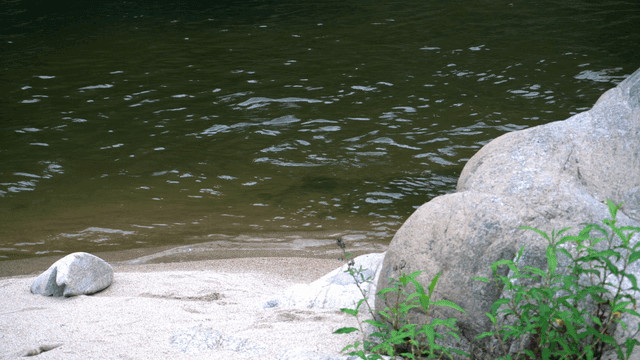 바위와 녹지가 있는 고요한 강
