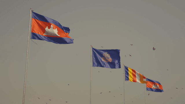 Flags waving in the sky with birds flying