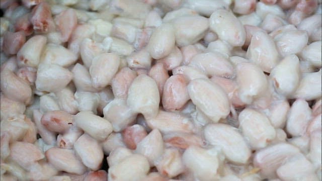 Cacao beans gathered for processing into chocolate