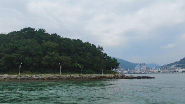 바위 해안선이 있는 숲이 우거진 섬