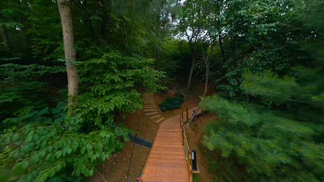 울창한 숲 속의 경치 좋은 데크 길