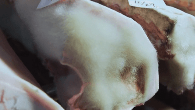 저장고에 날짜 태그가 붙은 숙성된 고기