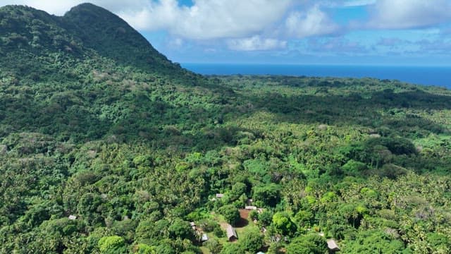 Mountains and forests with vivid green tropical rainforests