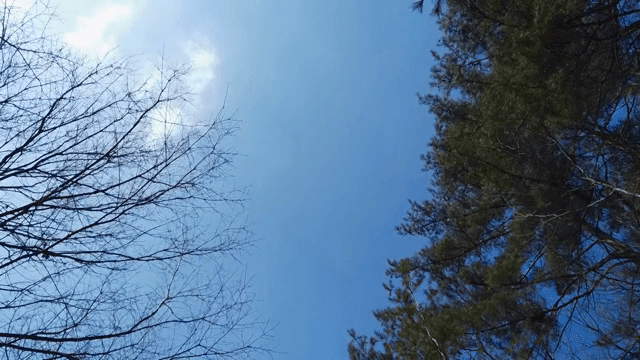 산길을 걸으며 바라보는 맑은 하늘