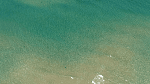 잔잔한 파도가 있는 고요한 해변