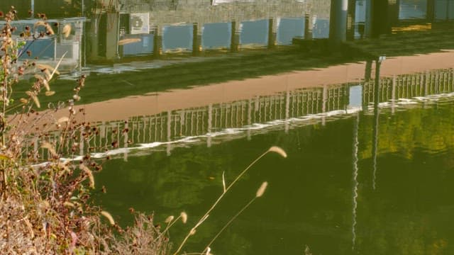 Calm water surface of a lake with wooden structures reflected in it