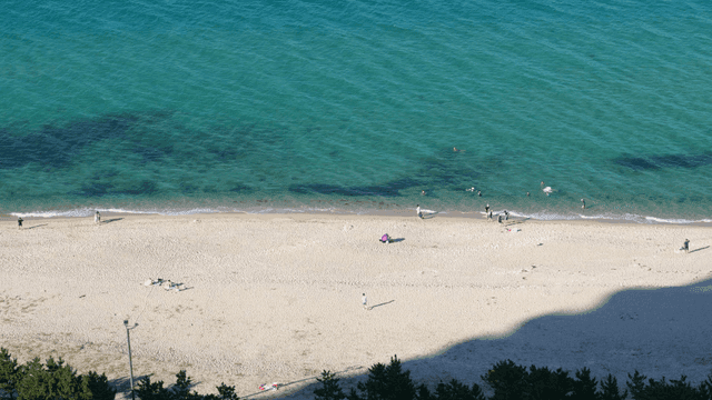 A sunny beach with people enjoying the sea