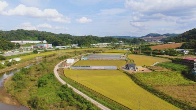 Rural landscape with fields and greenhouses