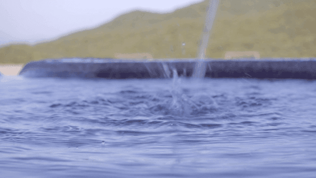 수면 위로 떨어지는 샘물 줄기