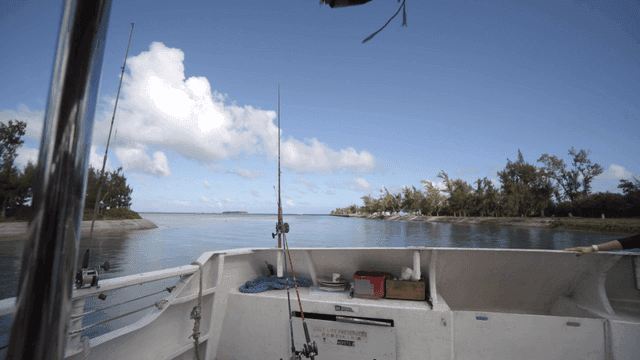 맑은 하늘 아래 잔잔한 강 위의 보트