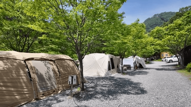 초록 숲 캠핑장에 설치된 텐트