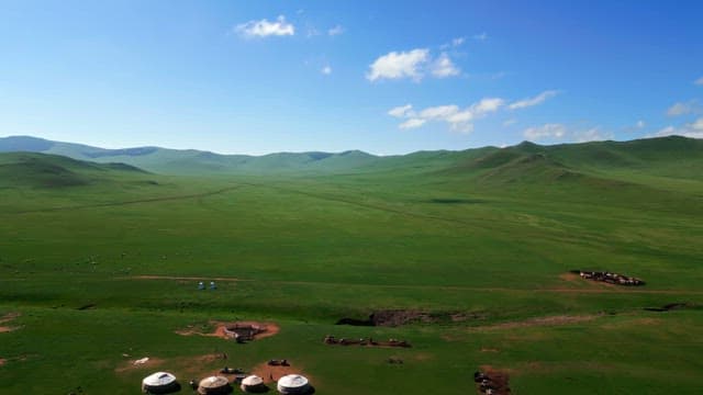 Vast green plains under a clear blue sky