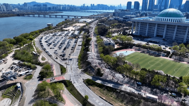 Cityscape on a spring day with cherry blossoms in bloom