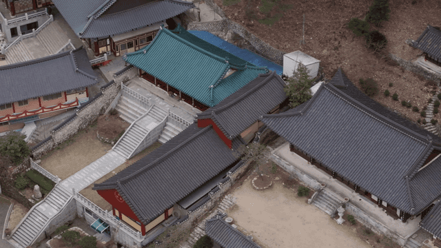 나무로 둘러싸인 전통 한국 사찰