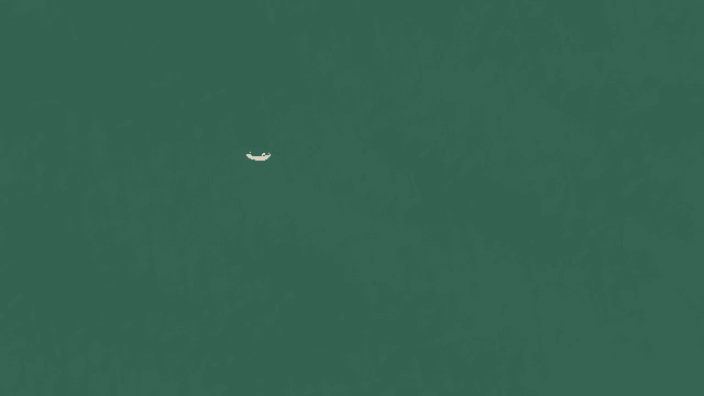 넓은 바다에 떠 있는 외로운 새