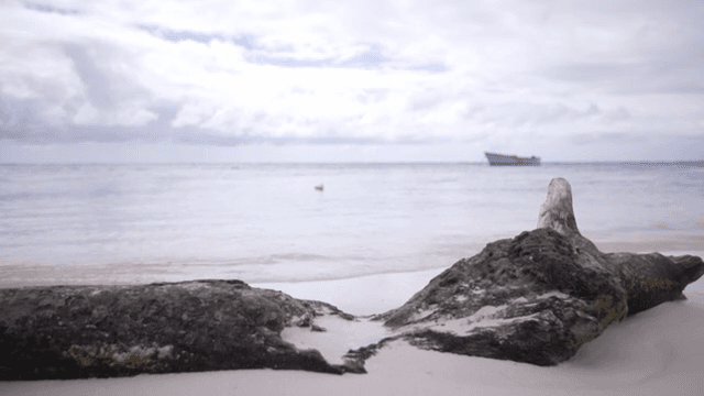 멀리 보트가 있는 고요한 해변