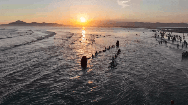 People enjoying sea at beach