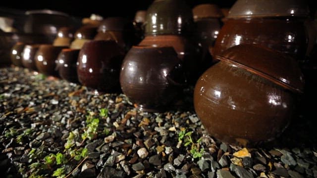 어두운 밤의 장독대 풍경