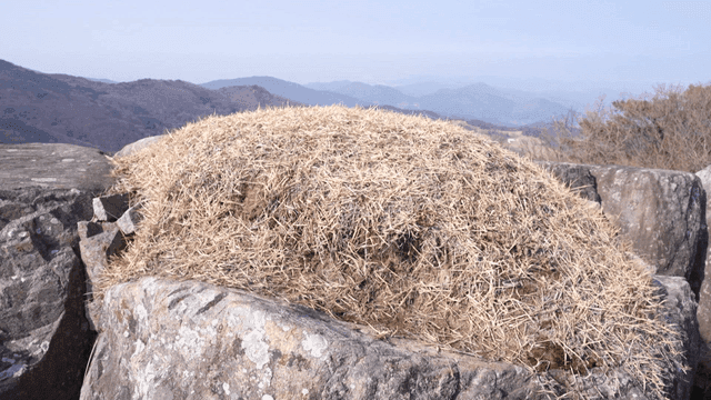 A rocky mountain with dry grass