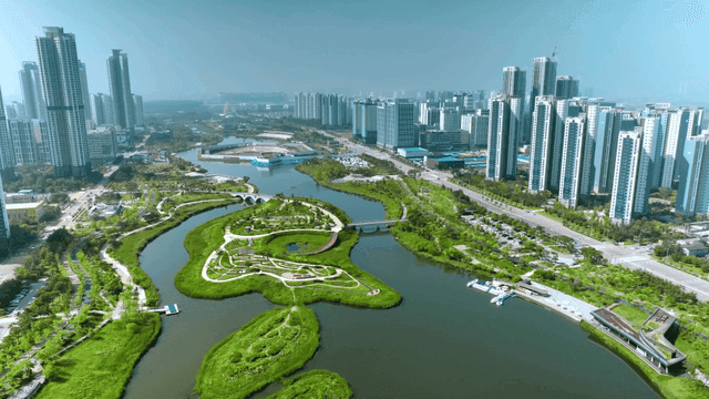 고층 건물과 호수가 있는 현대 도시