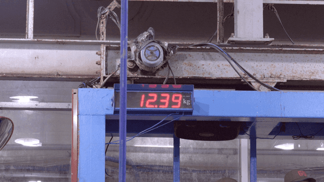 Digital scale displaying weight in factory