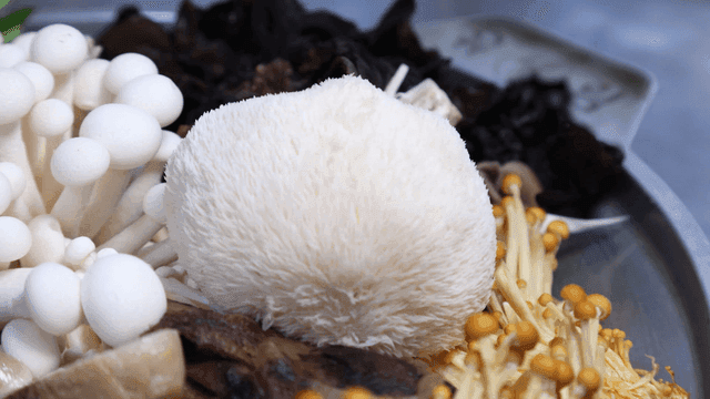 Mushrooms for variety of mushroom stews arranged on plate