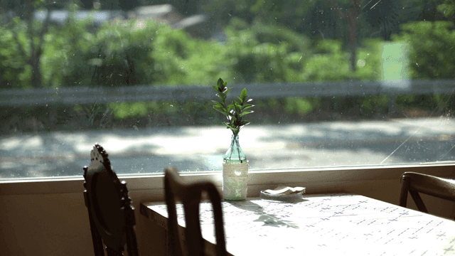 화병에 식물이 있는 햇살 가득한 테이블