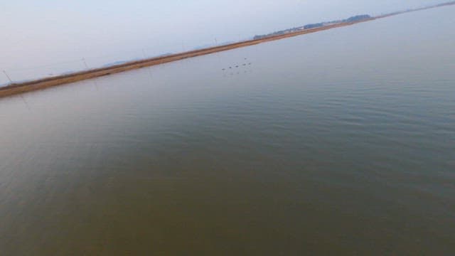 날아서 호수에 착지하는 새 떼와 일몰의 조용한 풍경