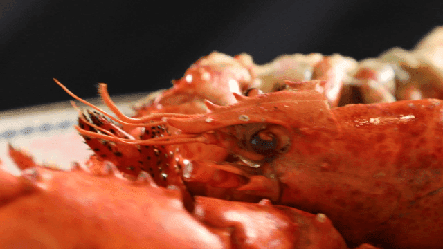Detailed grilled butter lobster