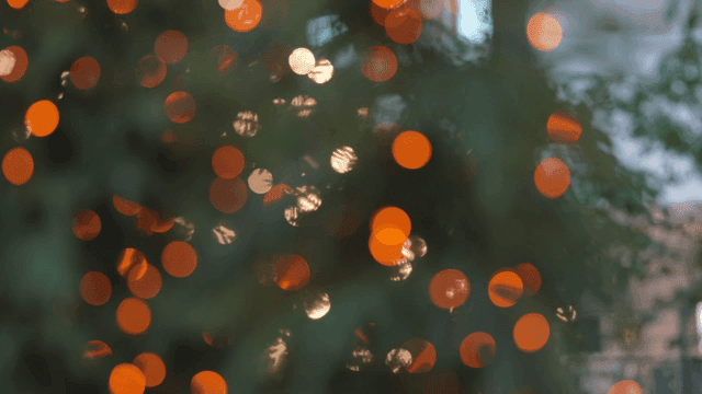 Blurry Christmas lights on tree