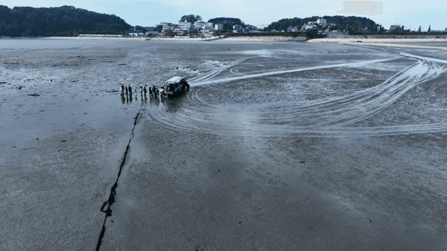 넓은 갯벌을 탐험하는 사람들