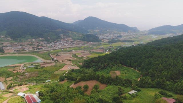 Rural village surrounded by lush fields