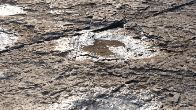 Small puddles on rock surface