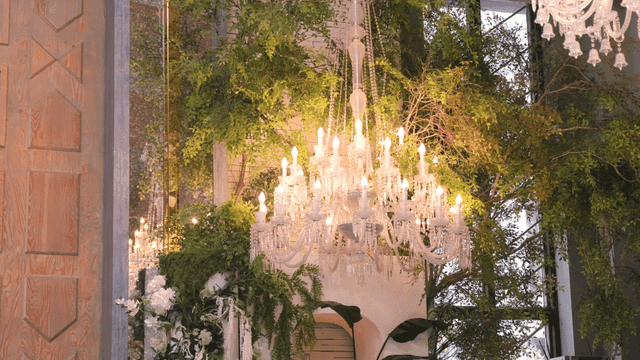 무성한 녹색 식물과 우아한 샹들리에