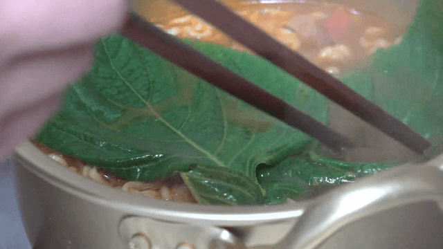 끓는 라면에 추가하는 깻잎