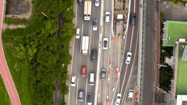 차량과 나무가 있는 번잡한 도로