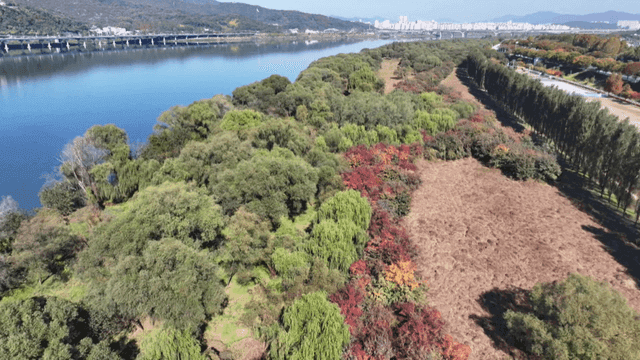 River with lush greenery and distant bridge