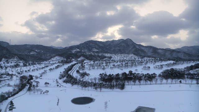 Snowy Landscape with Pine Trees and Mountains